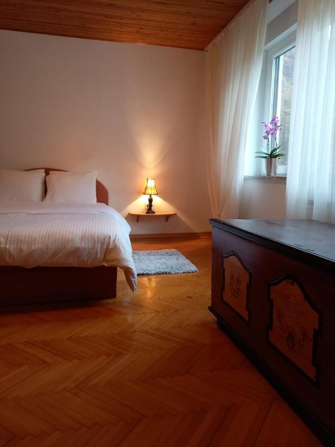 Riverside Villa Avo - Apartment Martin Spodnja Idrija Esterno foto