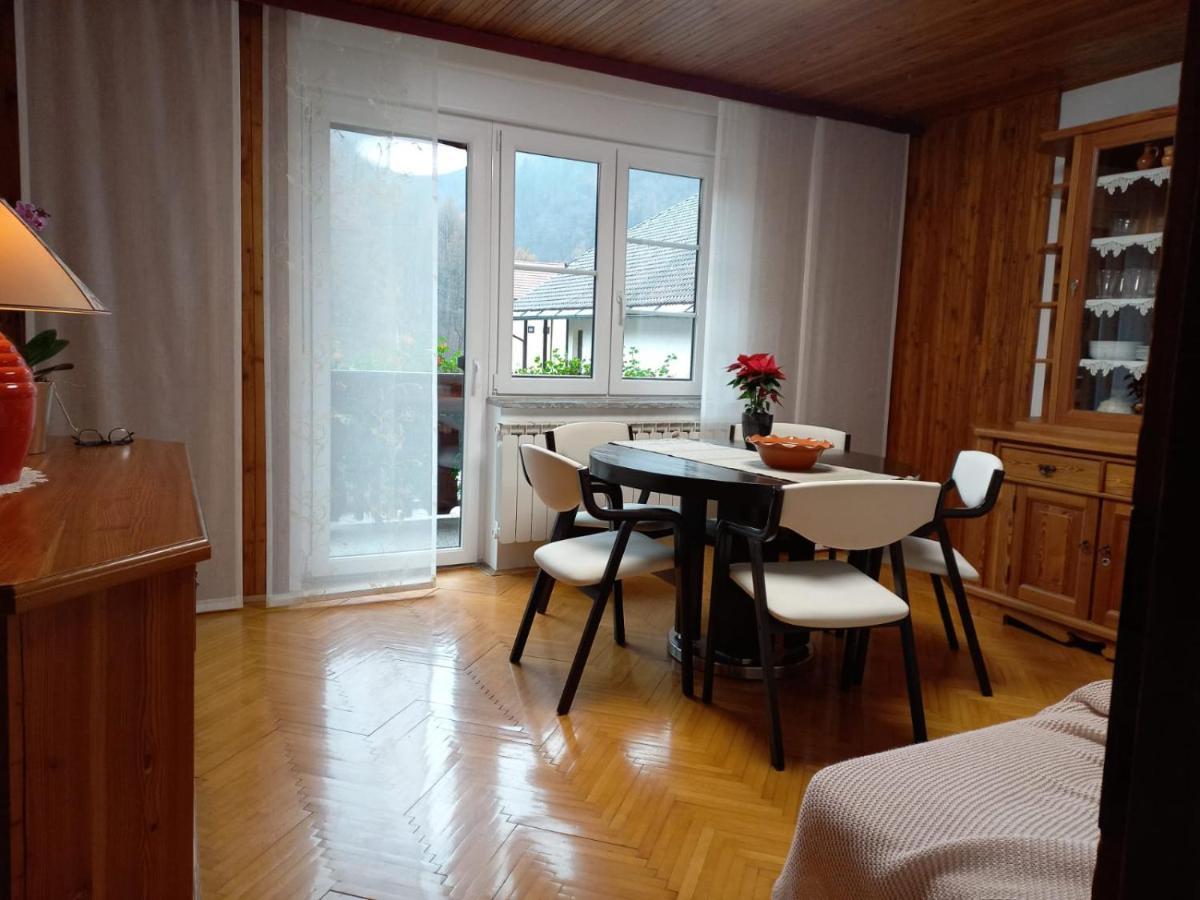 Riverside Villa Avo - Apartment Martin Spodnja Idrija Esterno foto