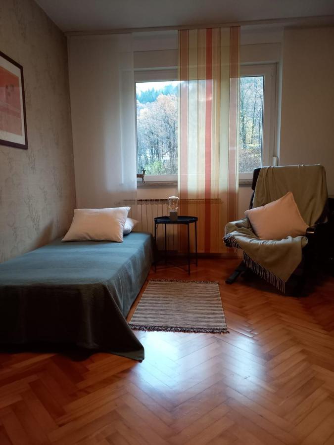 Riverside Villa Avo - Apartment Martin Spodnja Idrija Esterno foto