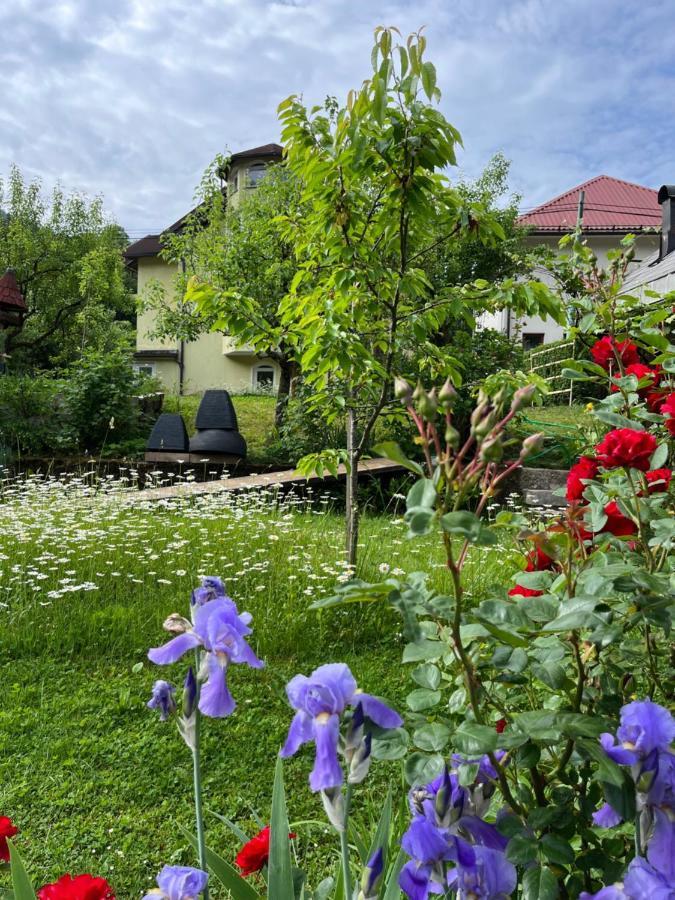 Riverside Villa Avo - Apartment Martin Spodnja Idrija Esterno foto