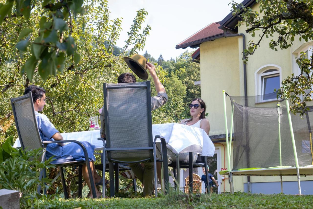 Riverside Villa Avo - Apartment Martin Spodnja Idrija Esterno foto