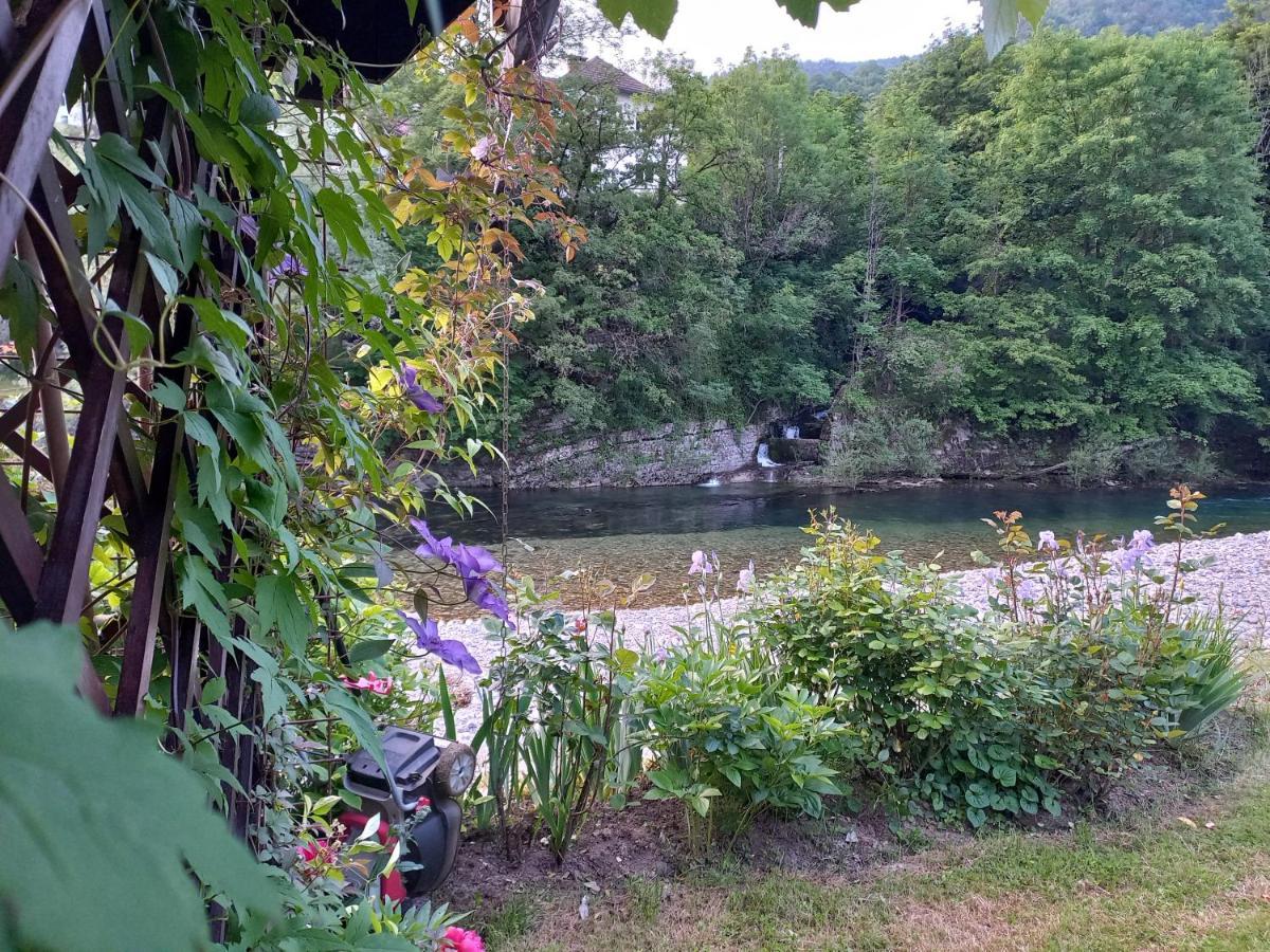 Riverside Villa Avo - Apartment Martin Spodnja Idrija Esterno foto